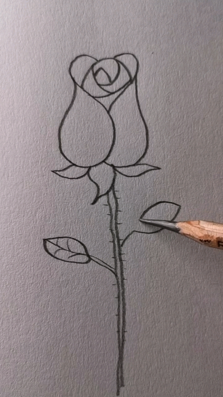 简笔画#玫瑰花的画法简单好学