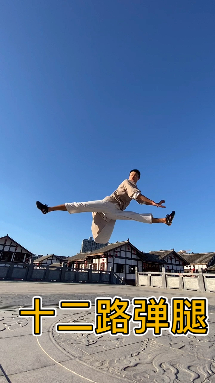 少林十二路弹腿