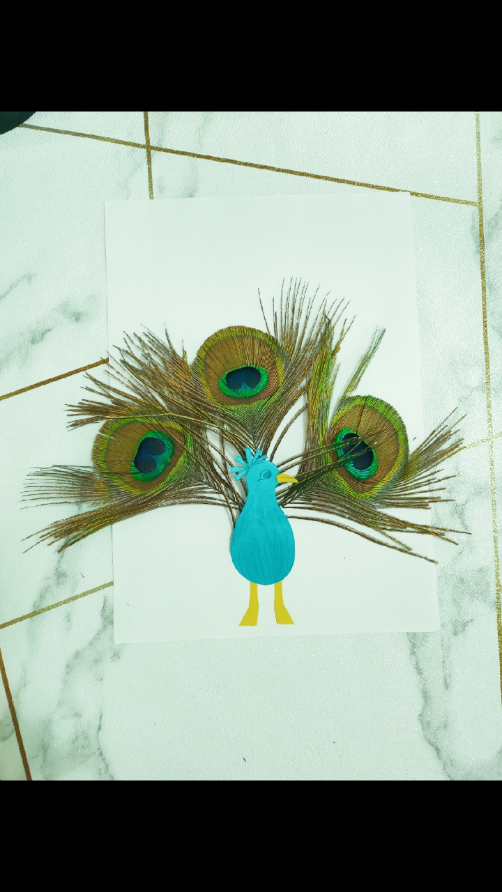 羽毛手工粘画,很喜欢孔雀羽毛,可以这三只中间折了拿来做粘画还挺漂亮