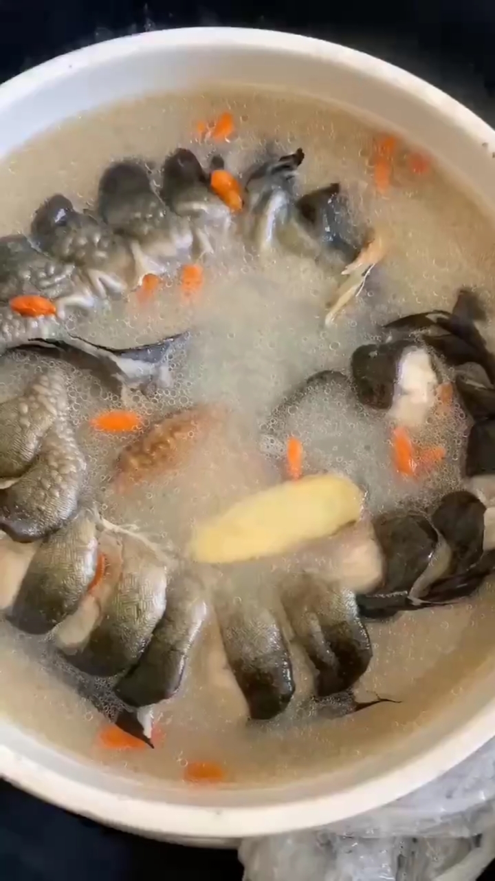 鲈鳗炖汤图片