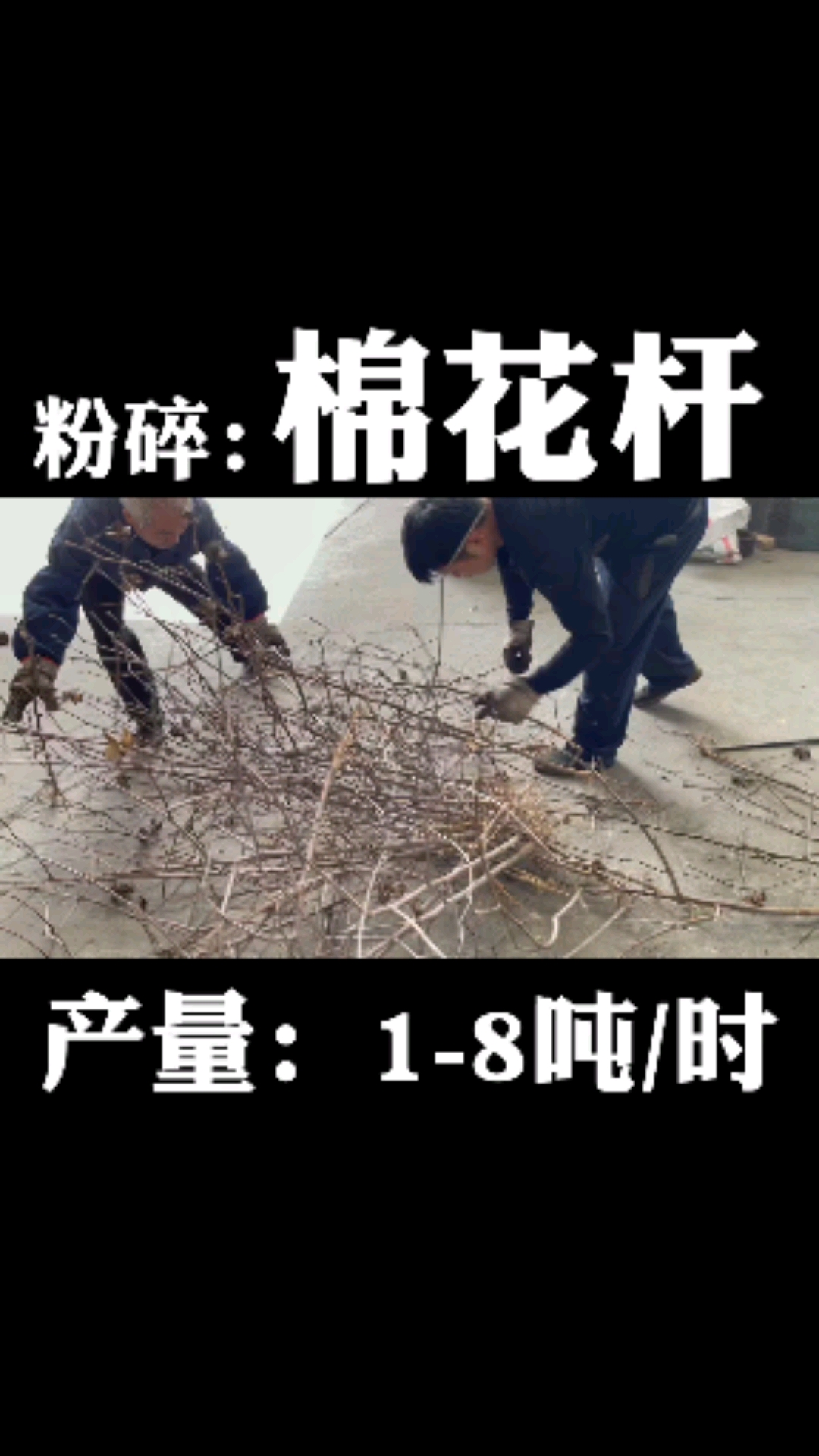 棉花杆粉碎后做饲料或肥料,粗细可调,产量高,除了棉花杆,你觉得还能