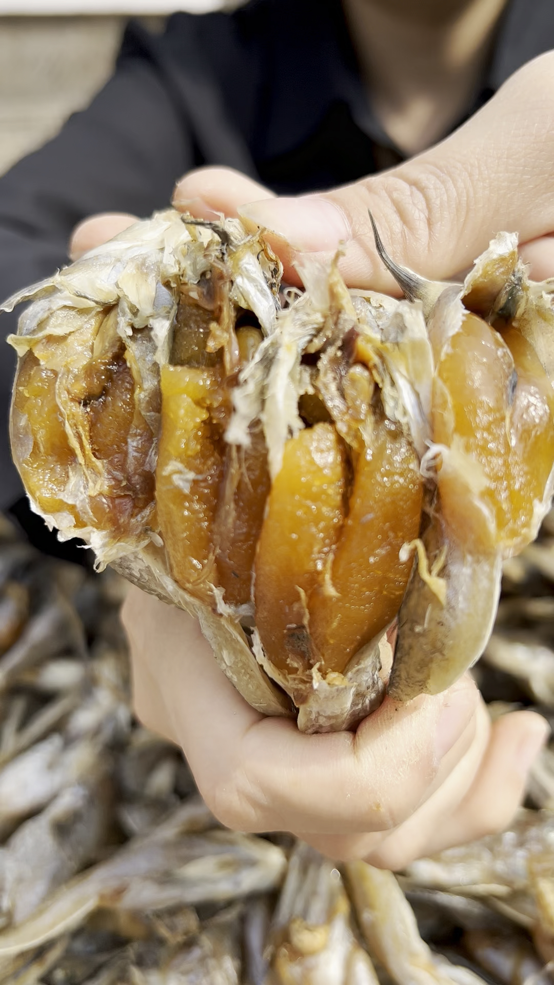 渤海湾的籽鱼您吃过么