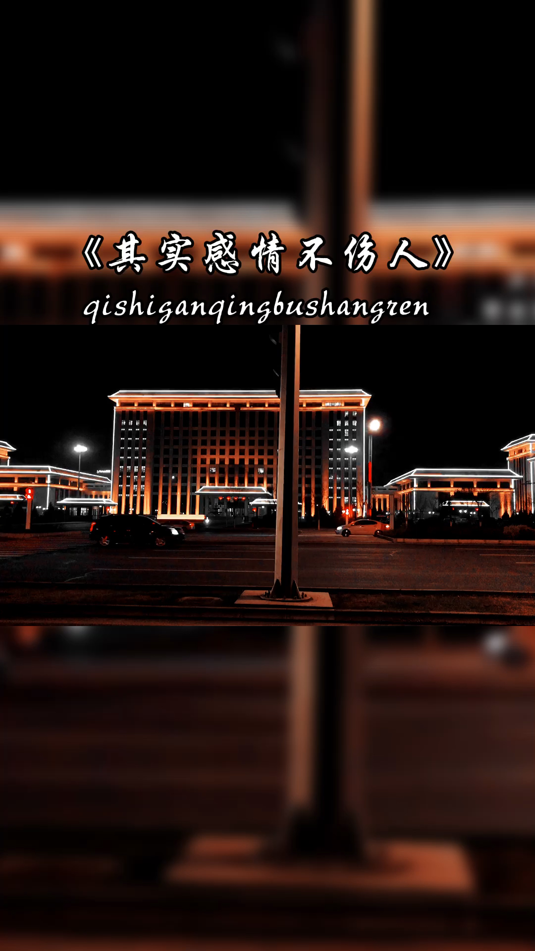 情感励志其实感情不伤人伤的都是重感情的人