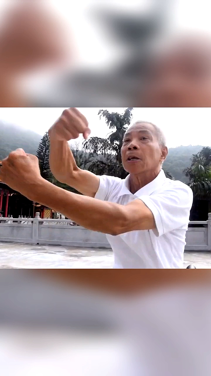 中华武术#何焕新师傅演练的佛山龙形拳