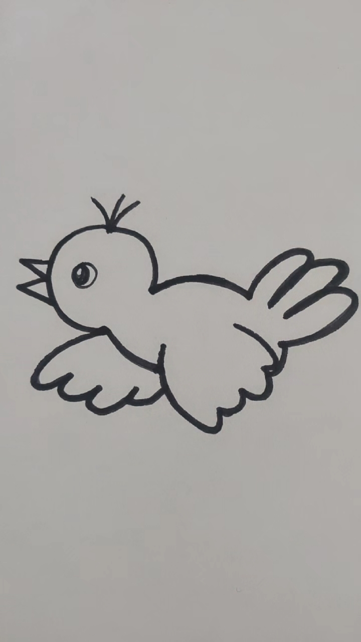 小鸟的简笔画 简单图片