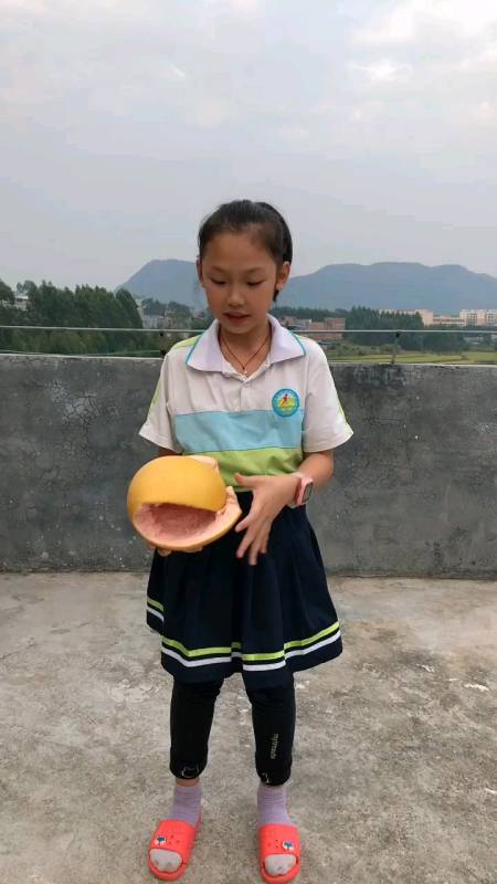 原来是西瓜皮