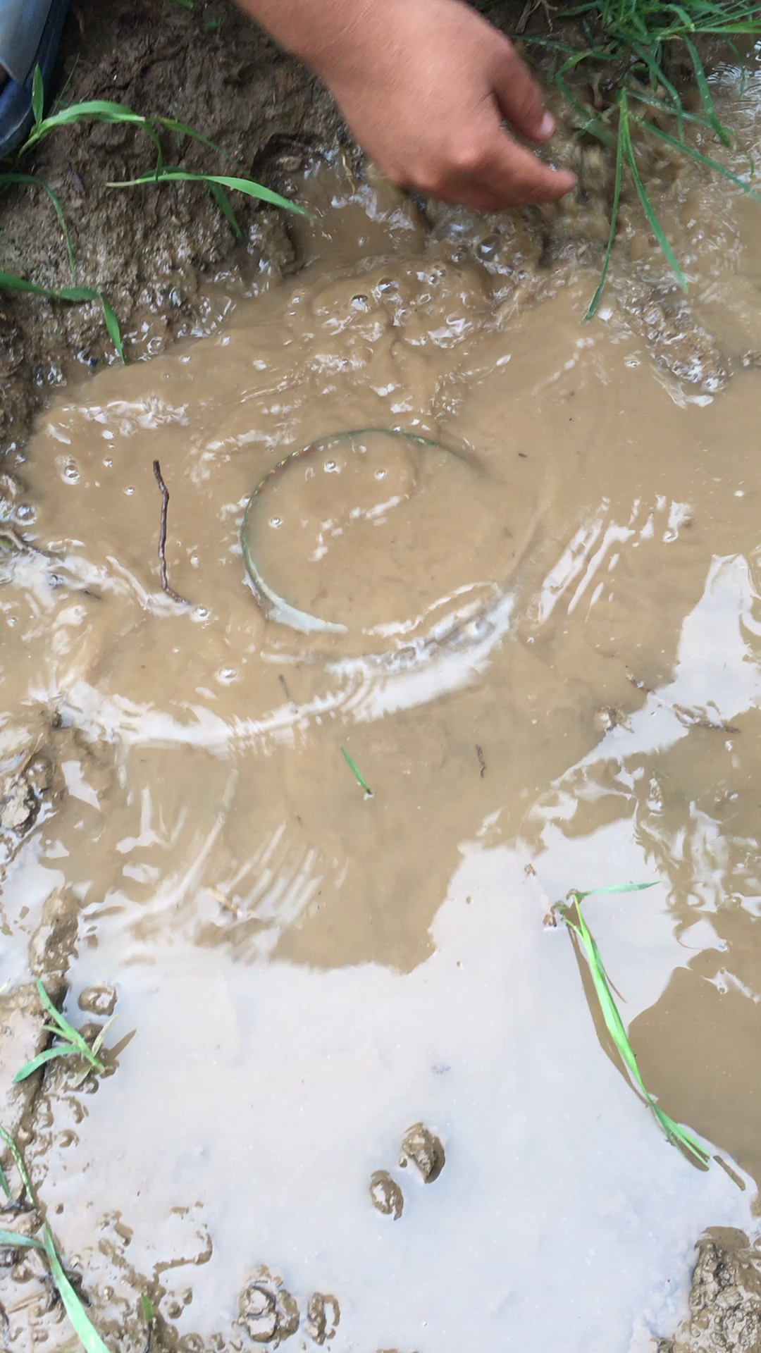 上山路过一个小泥坑发现了个金碗里面还有金钥匙