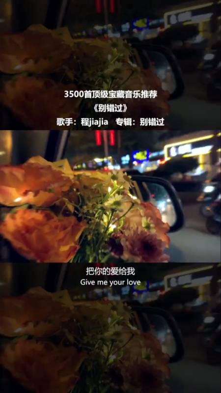 感受不到爱意的时候,记得全身而退
