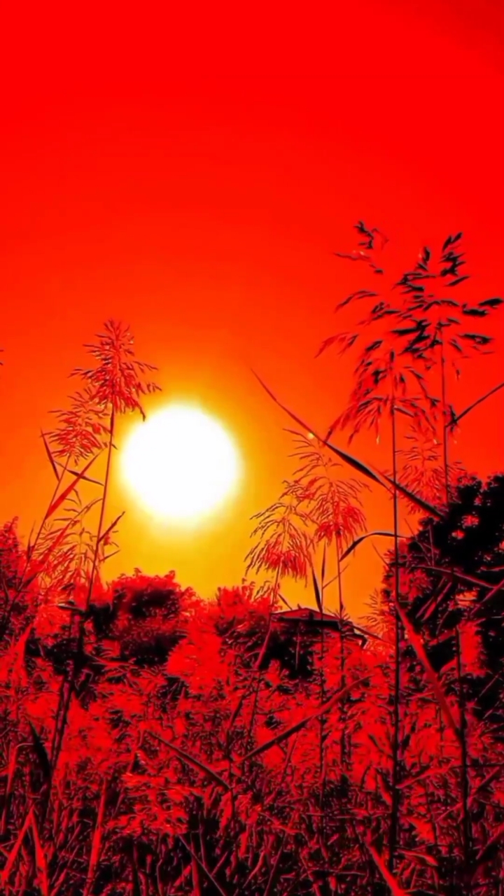 太阳出来红艳艳