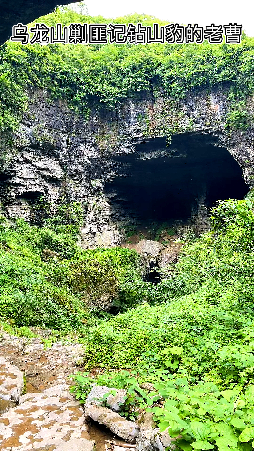 八面山自生桥图片