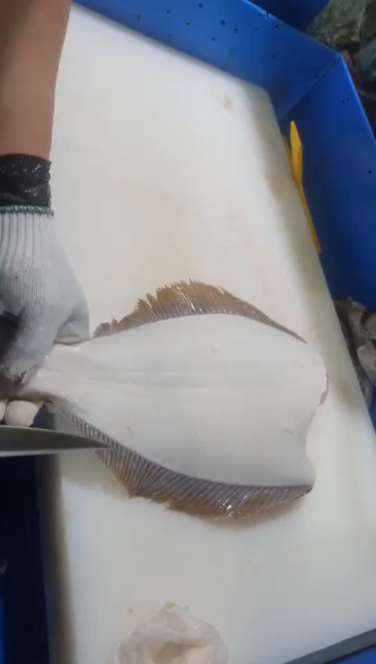 左口鱼分解分解左口鱼大家看看这个手法怎么样