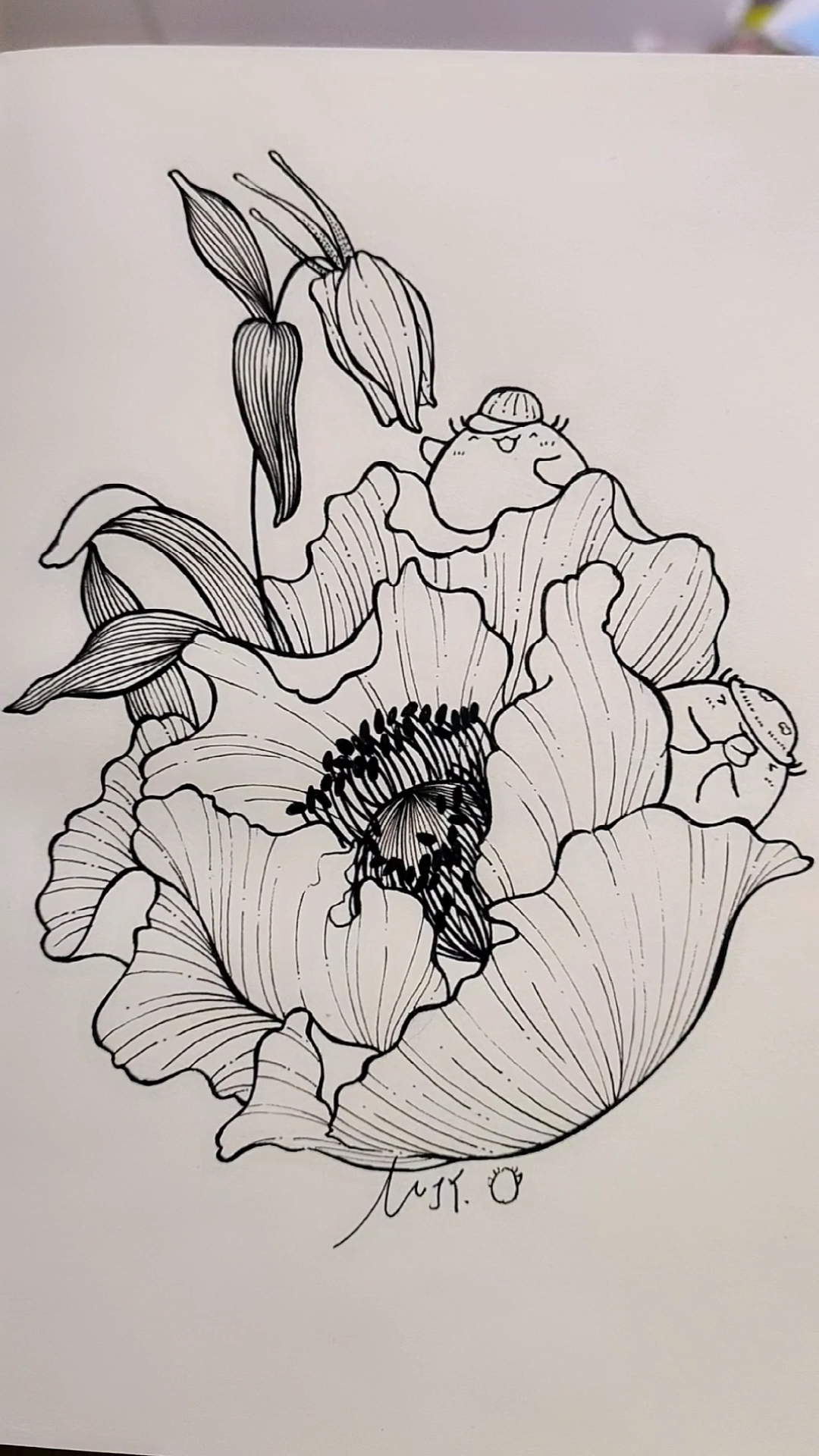 画画原来如此简单#用中性笔画线描花卉,就是这么简单!-度小视