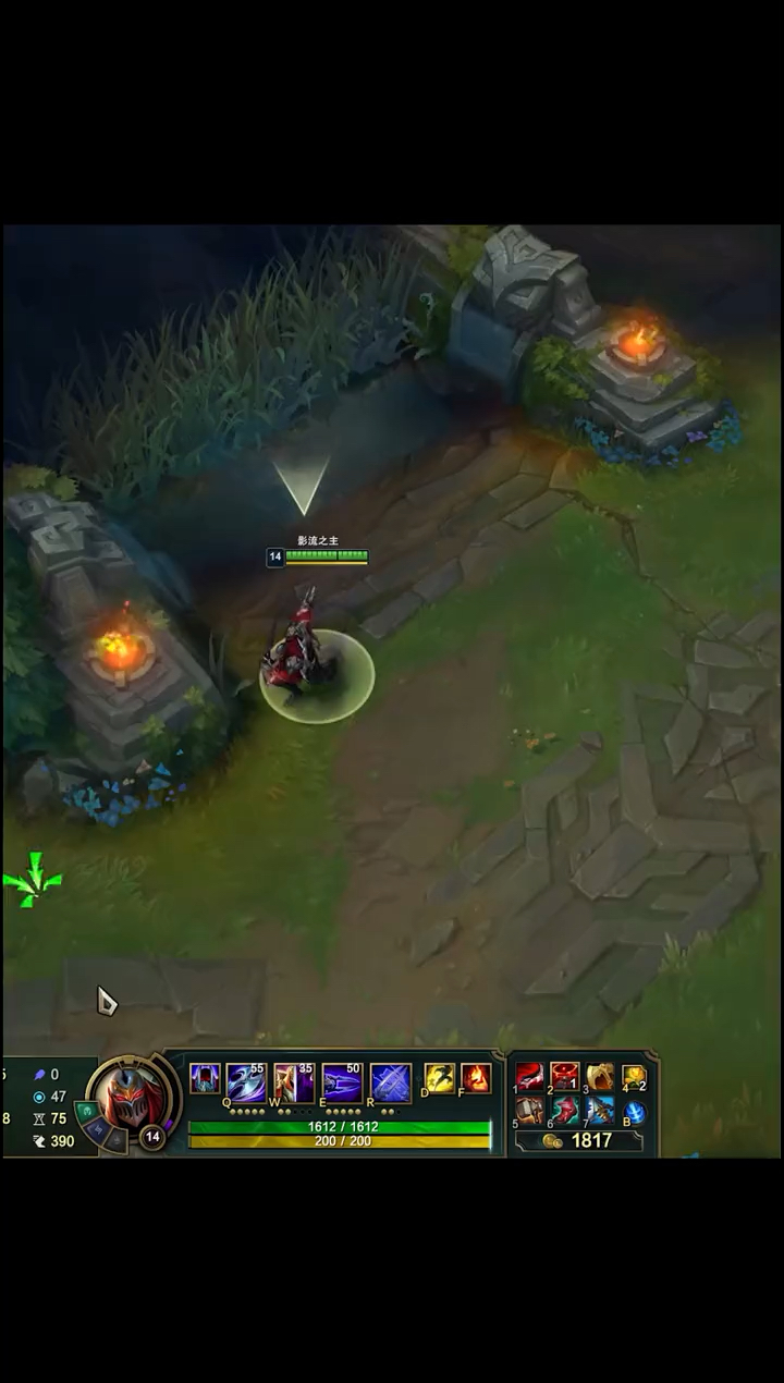 英雄联盟#峡谷惊现发呆哥?