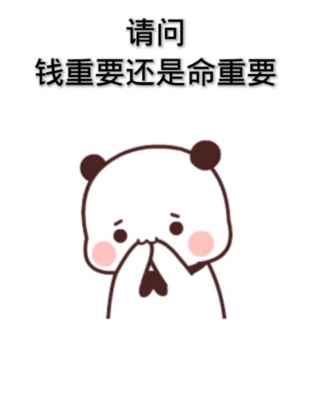 有趣有收获你的浏览器不支持视频播放 #我要上热门#请问钱重要还是命