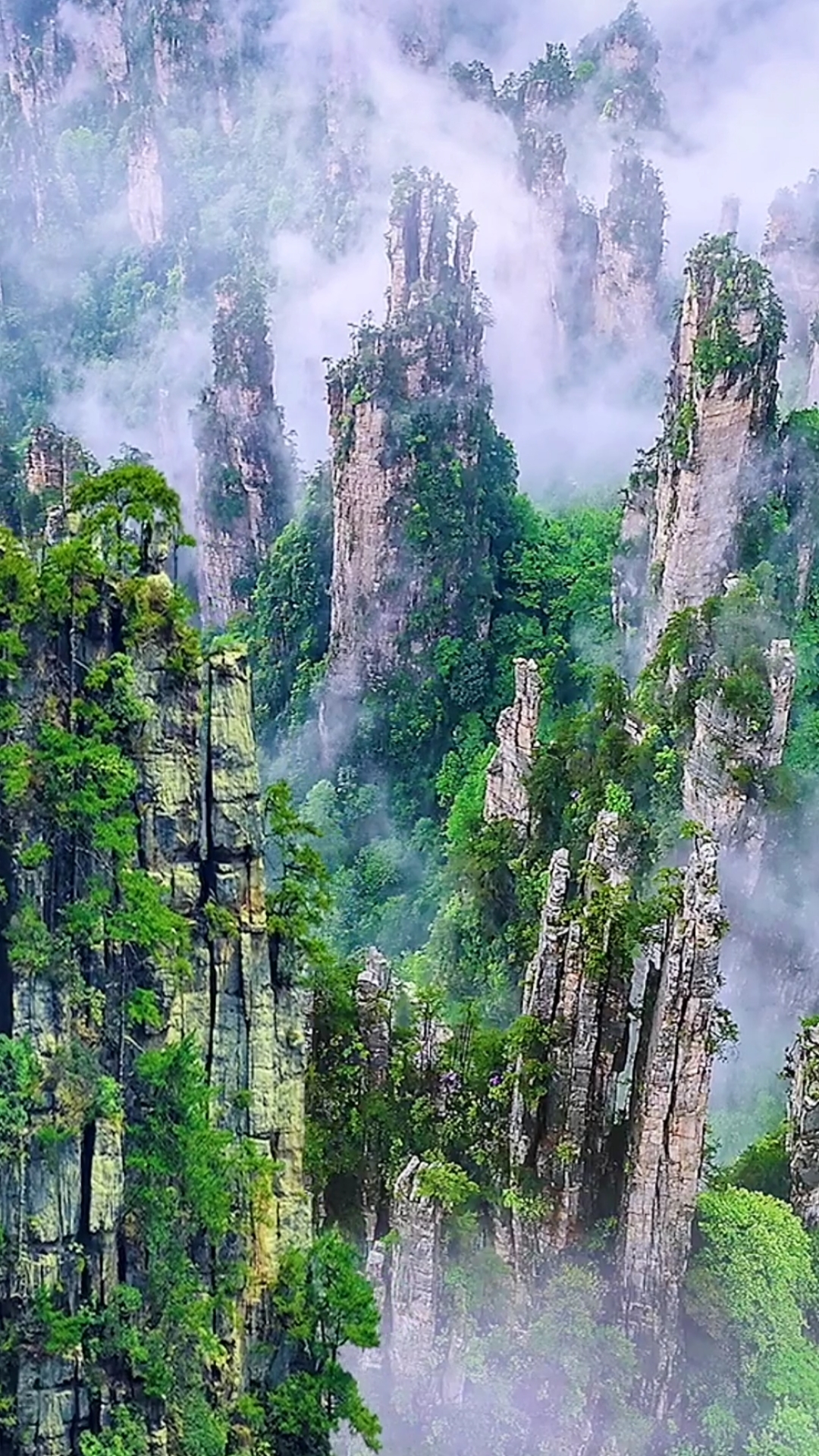 美丽张家界人间仙境清新脱俗人生总有低谷,总有高峰