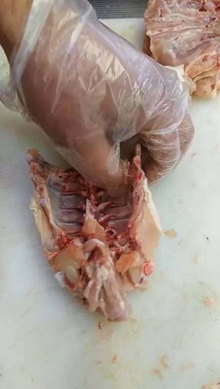 鸡肉#鸡背上的肉怎么分解,大家看看这个手法怎么样?-度小视