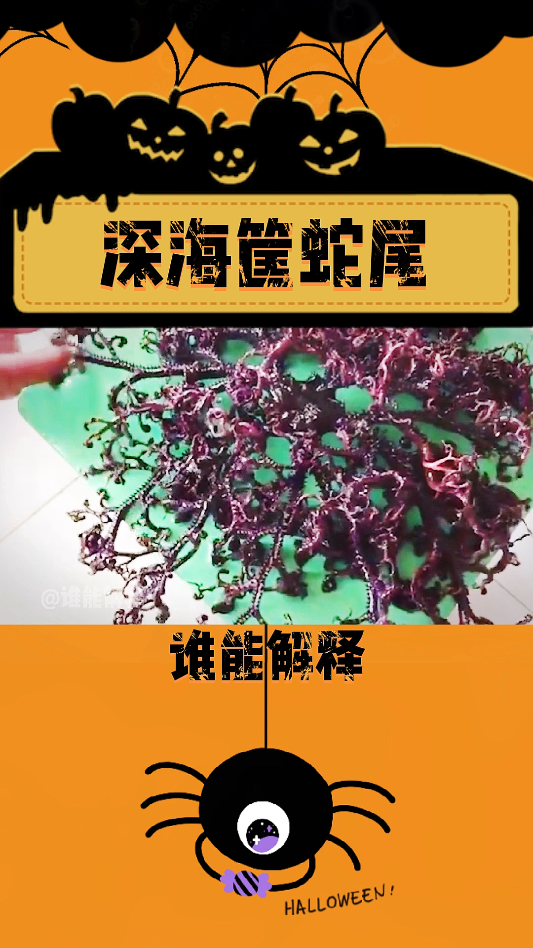 恐怖不骗你这个真不能吃深海筐蛇尾