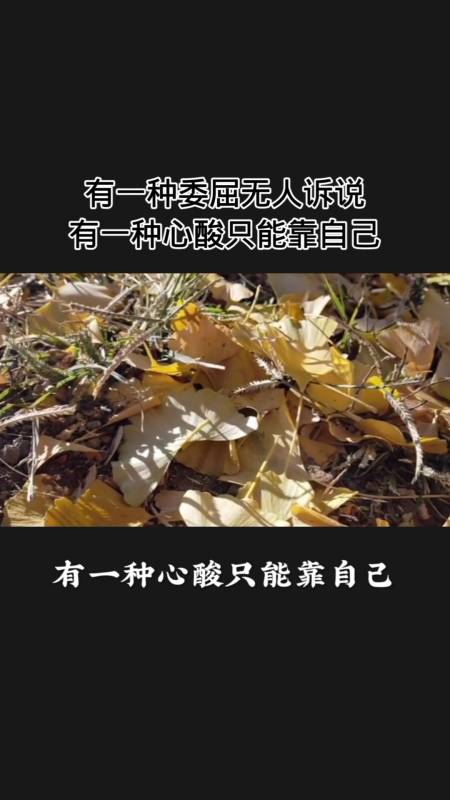有一种委屈无人诉说,深有体会,但无能为力,你们觉得呢
