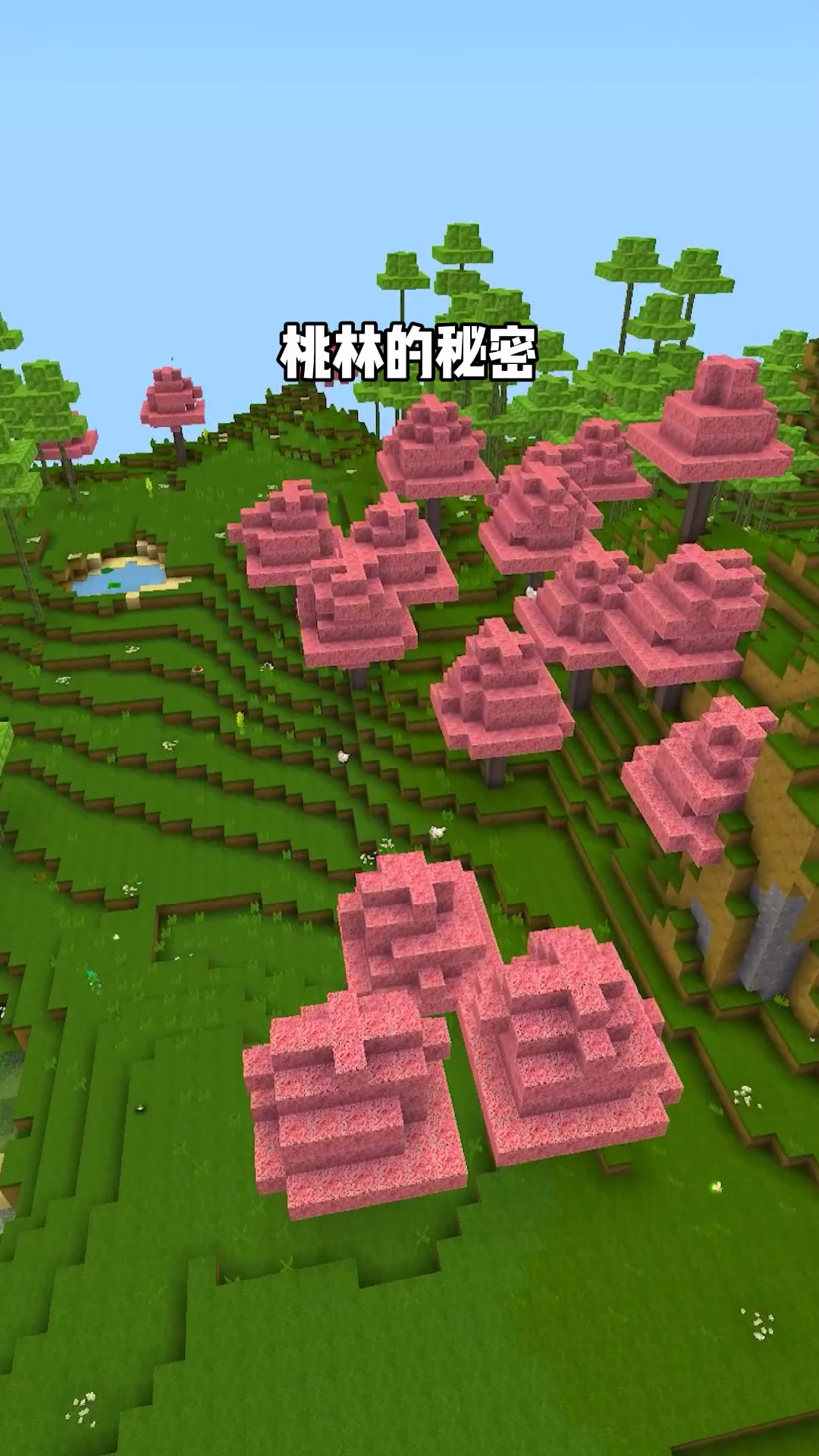 迷你世界#桃林背后的秘密!午夜出现的怪物?-度小视