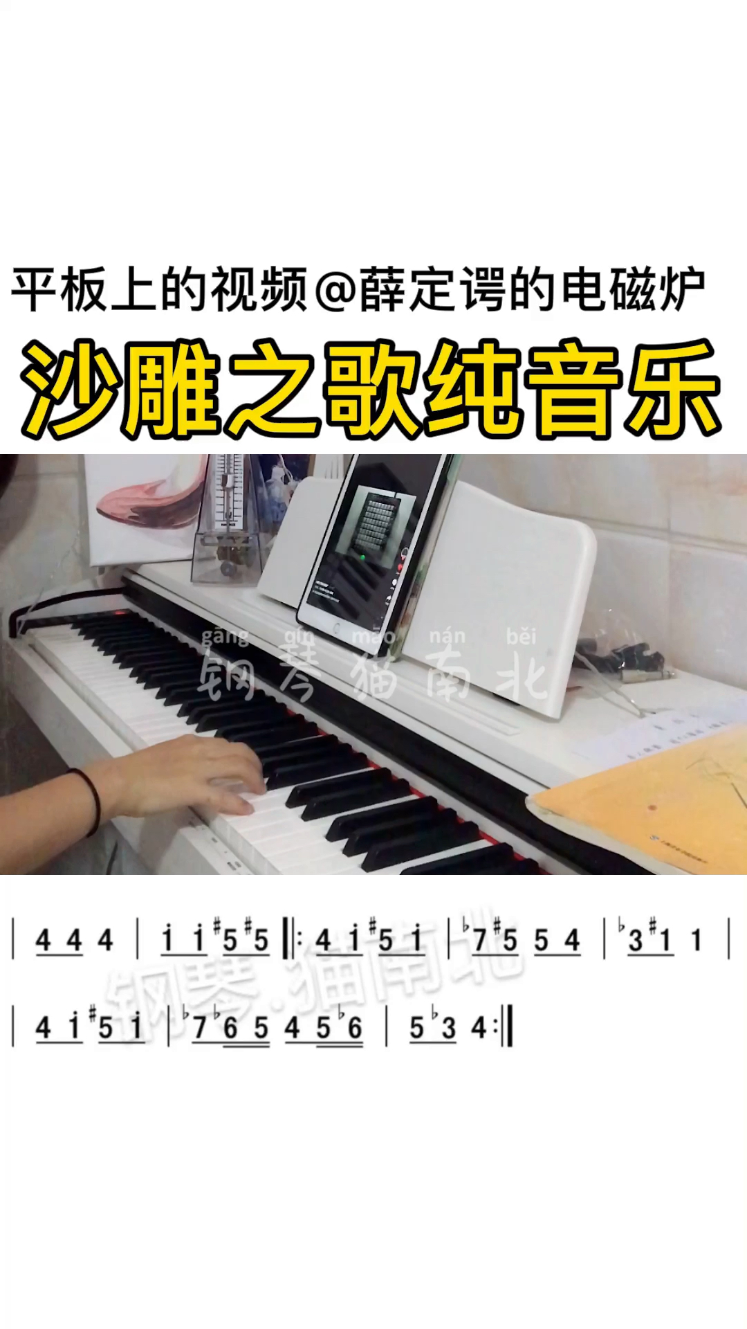 沙雕之歌纯音乐视频背景音乐