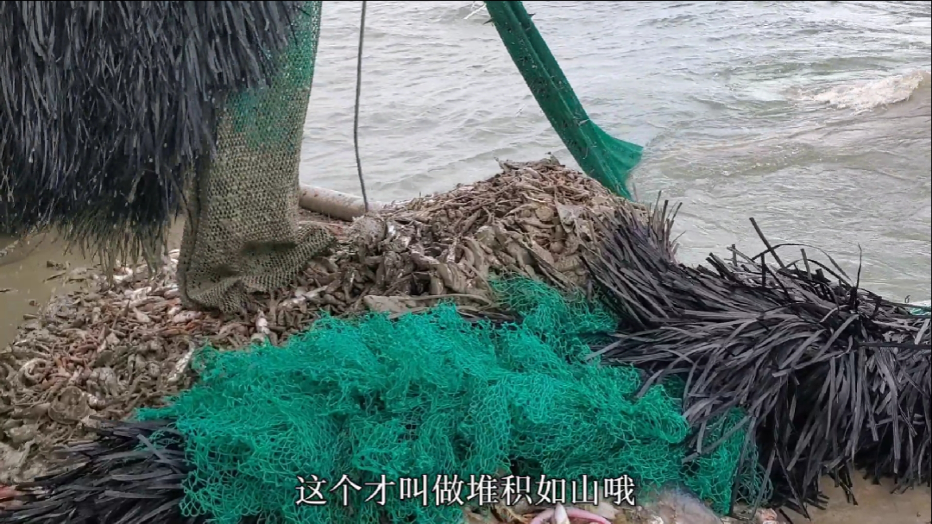 豪哥在深海捕捞,抓到的海鲜堆积如山,现场看着很过瘾