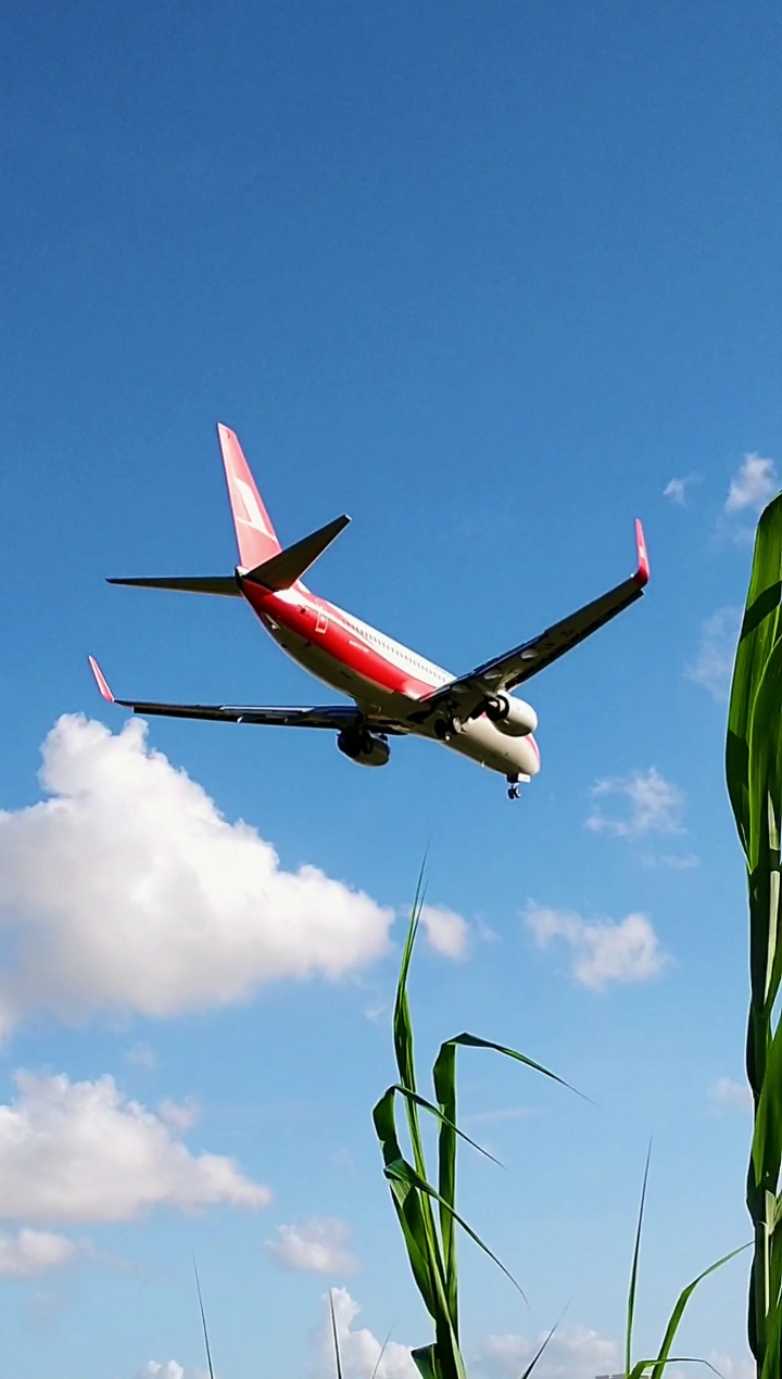 飞机#全国为数不多可以这样子看飞机的城市,这是哪家航空飞的太盗了