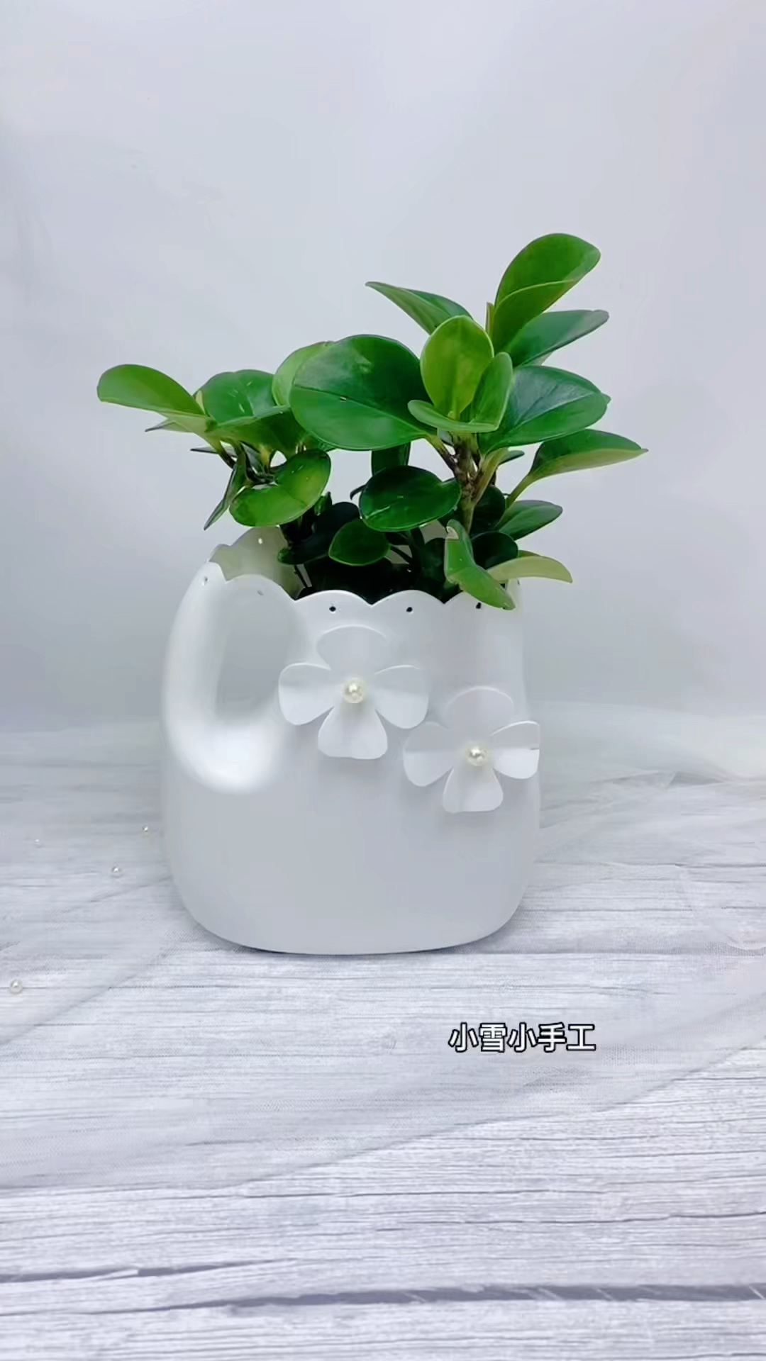 手工制作家里用完的洗衣液瓶子不要扔利用起来一起做好看的花盆吧