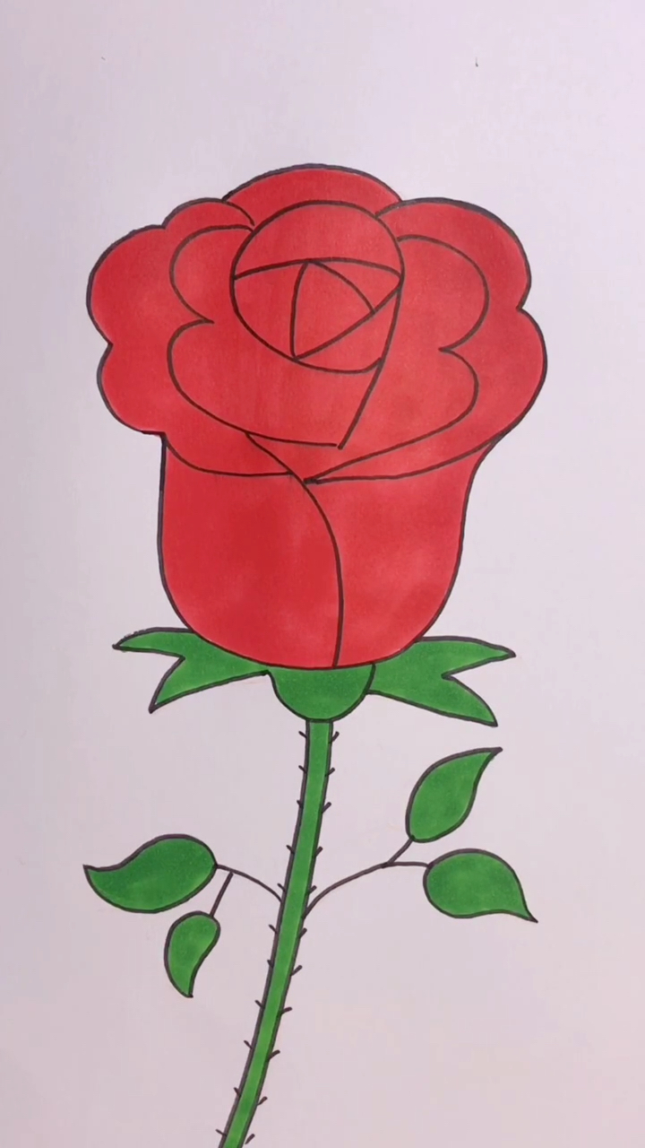 玫瑰花儿童画一步一步图片