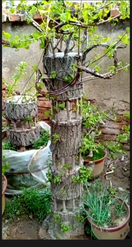 冬季进补计划#桥接技术分享.