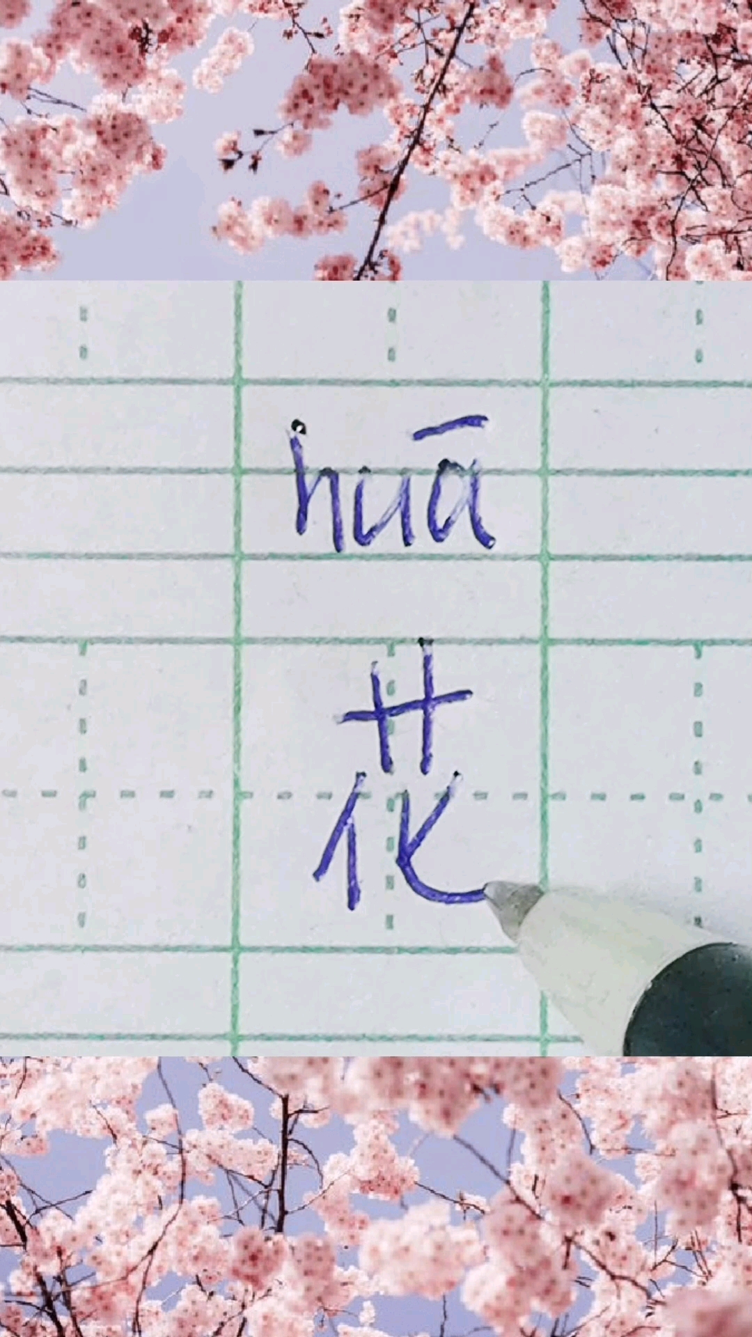 硬笔书法#花字的写法