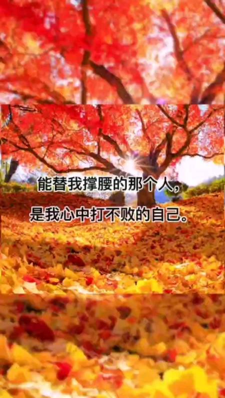 至少可以选择坚强#终究还是习惯一个人,扛下了所有.