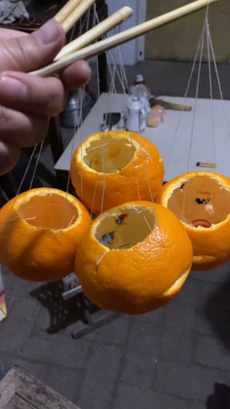 记录我的农村生活#小桔子灯笼,萝卜灯滴滴芯子,小时候的记忆,你玩过