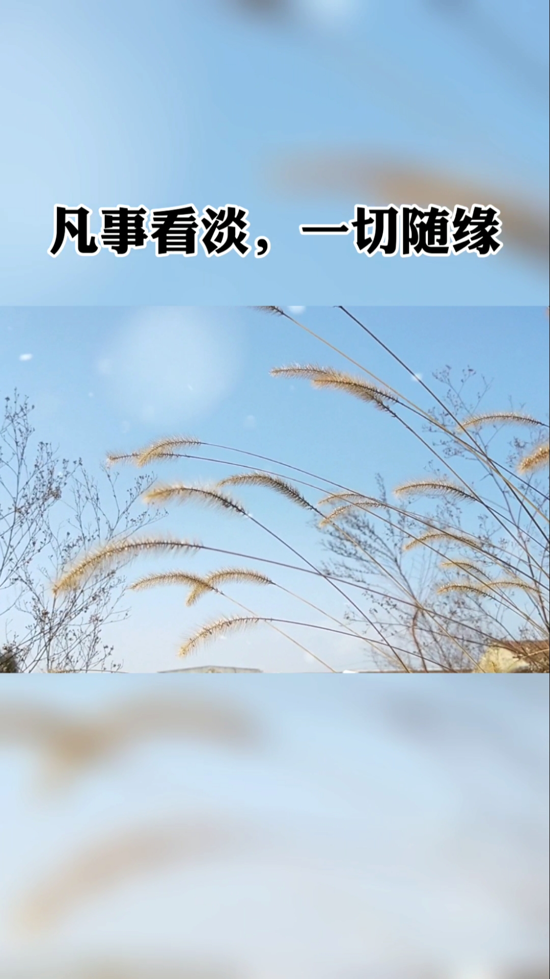 情感语录#凡事看淡一切随缘…-全民小视频