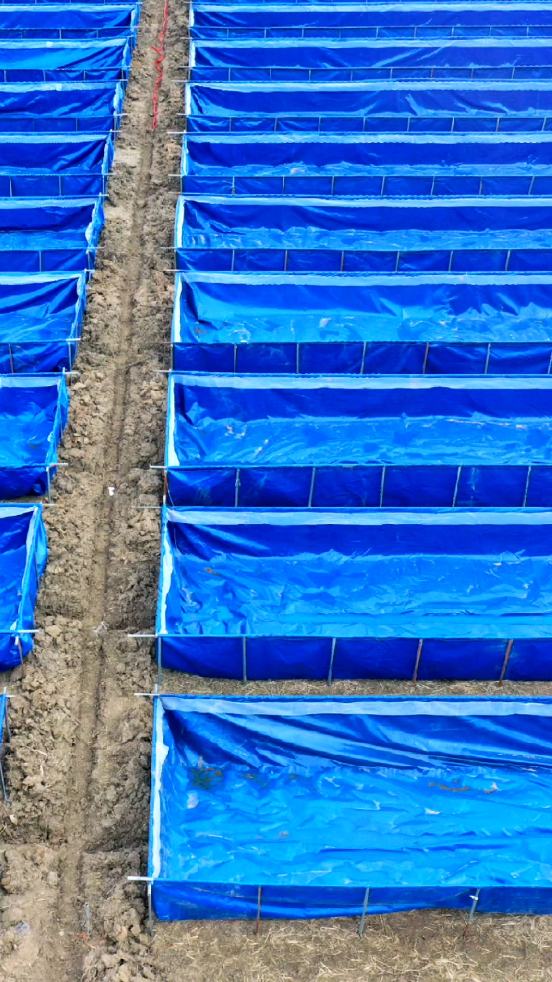 水池大小支持定制,上门安装!#帆布池养殖蚂蟥-度小视