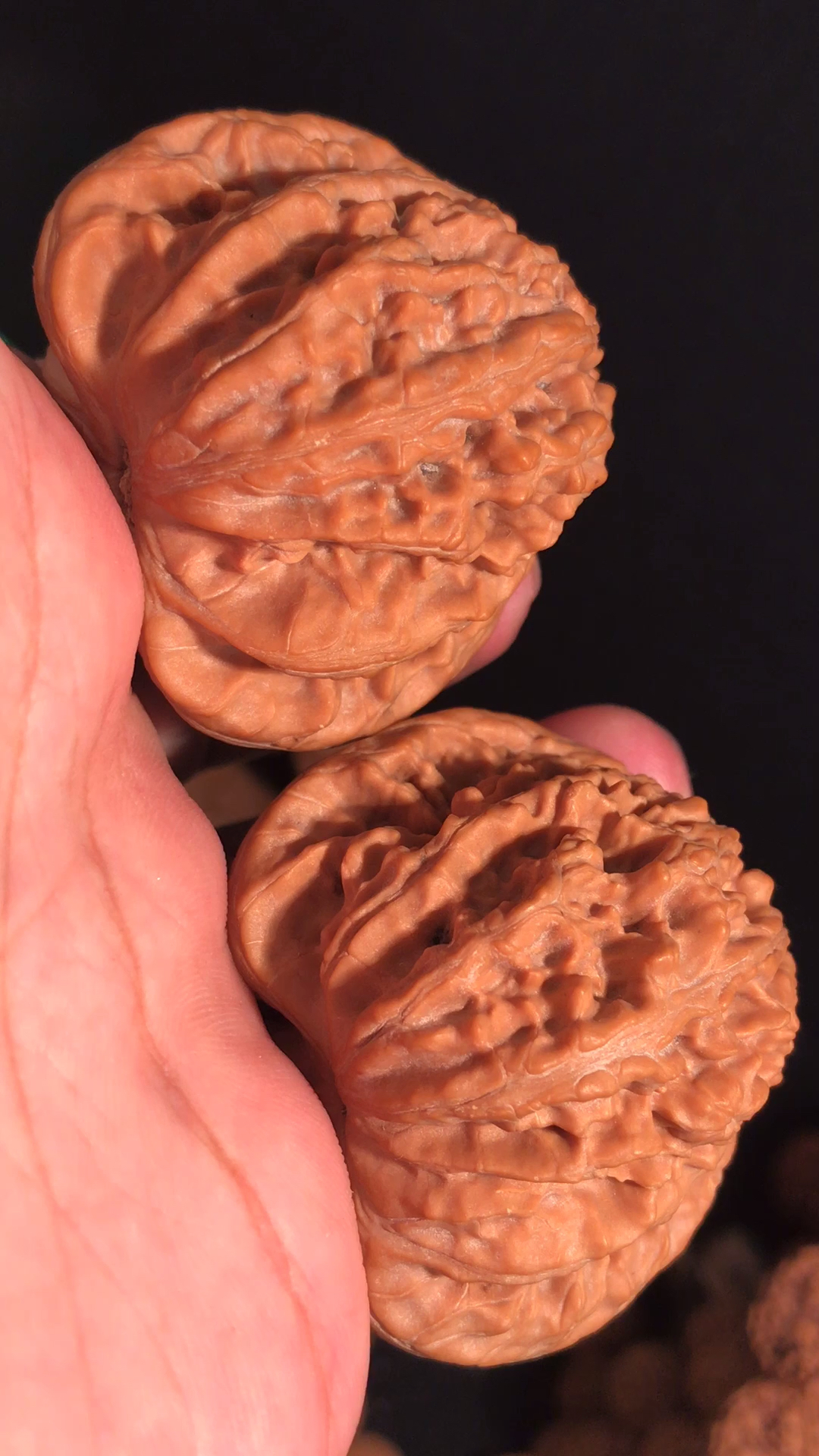 文玩核桃#一对核桃,就喜欢看它的纹路