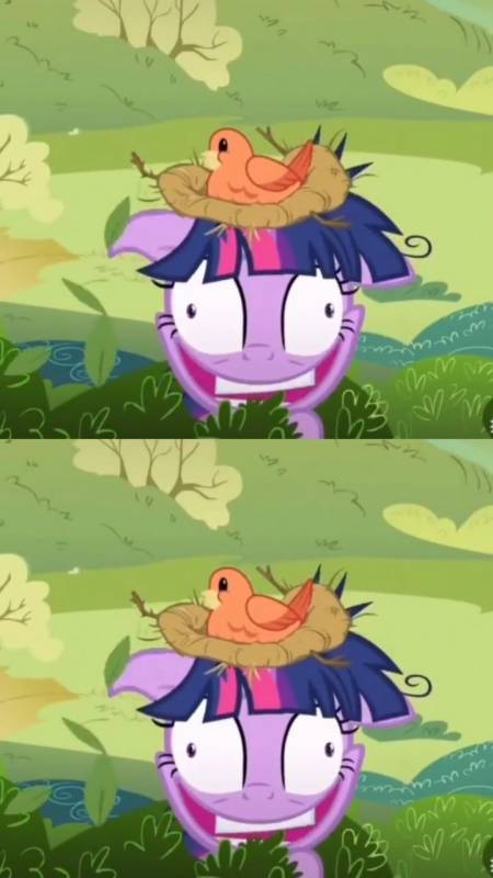 小马宝莉##希望能火#颜艺公主紫悦#沙雕-全民小视频