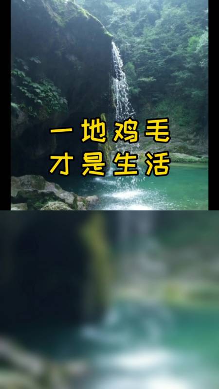 岁月静好是片刻,一地鸡毛是日常#情感#摘要#正能量#手机创业#杨绛