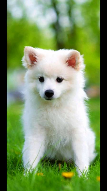 萌萌哒的小动物好可爱,关注我会有更多照片