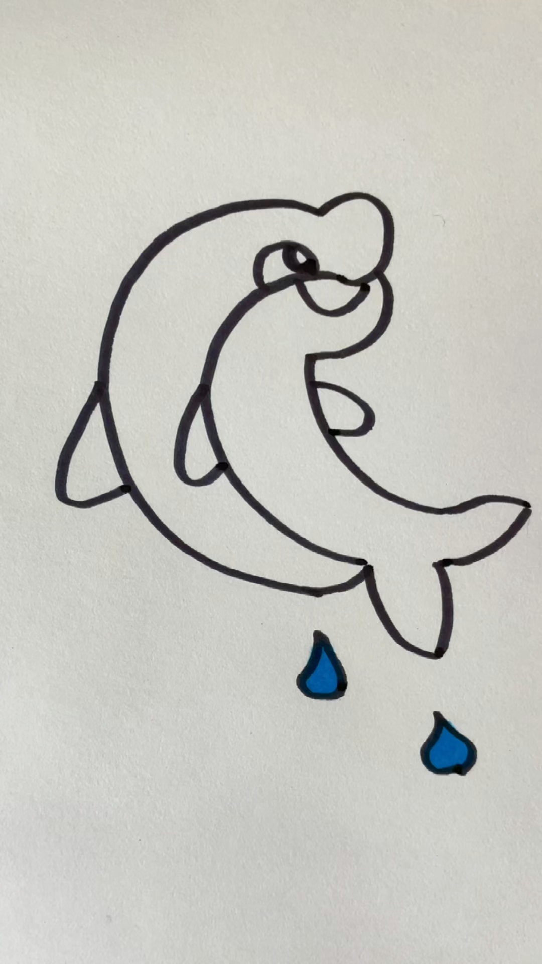 小海豚的画法图片