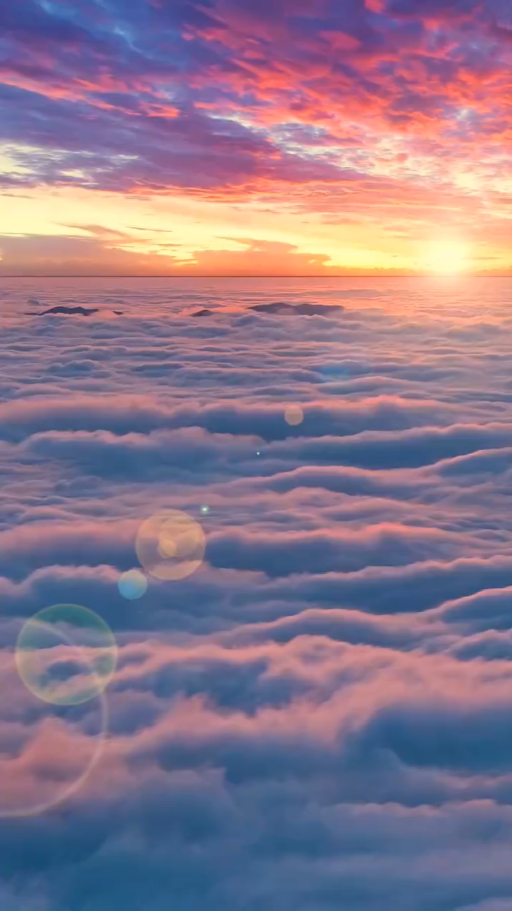 "shine—这个世界上有两种最耀眼的光芒,一种是太阳,一种是你努力的