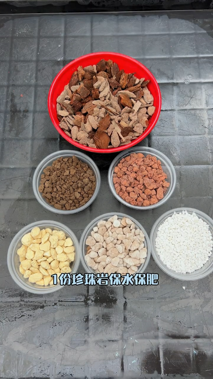 这就是我养兰花的颗粒土配方养护轻松多了#兰花#养花小知识-度小视