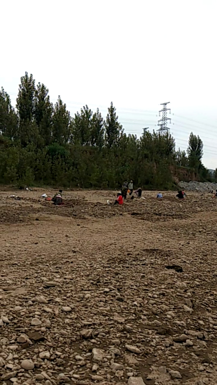 今天凉快,二十多个石友一起挖石头