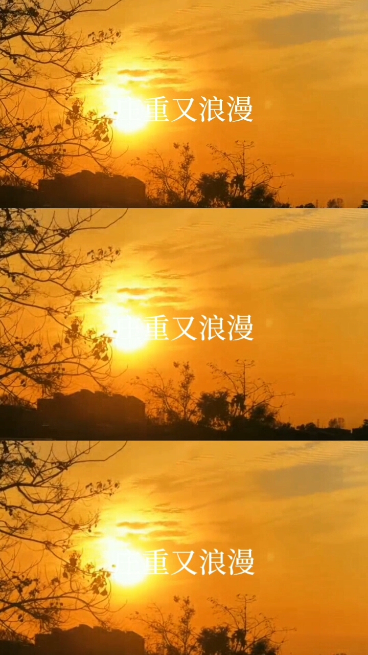 zachary团队#foryou(日常打错单词)