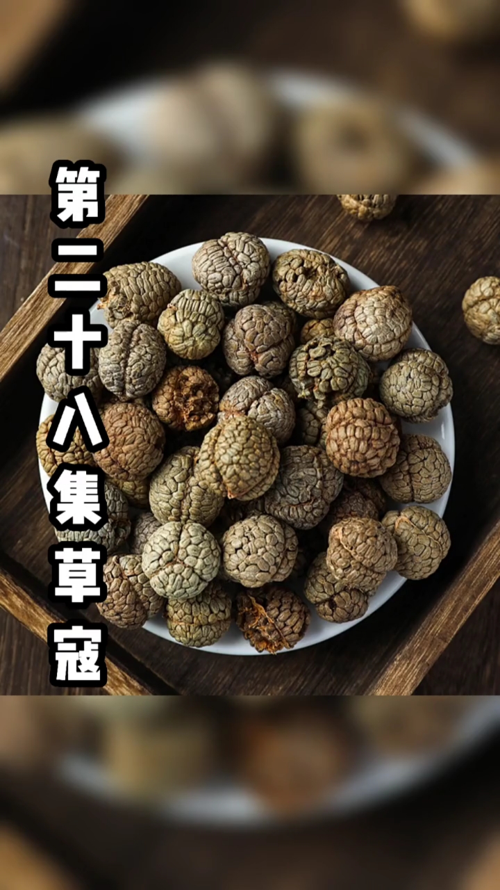 第二十八集草寇,草寇在辛香料中起什么作用