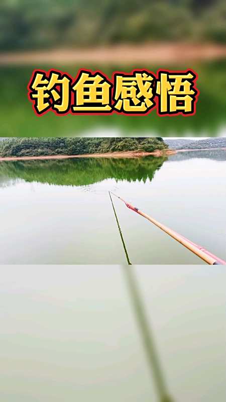 钓鱼#钓鱼感悟出来的人生道理-度小视