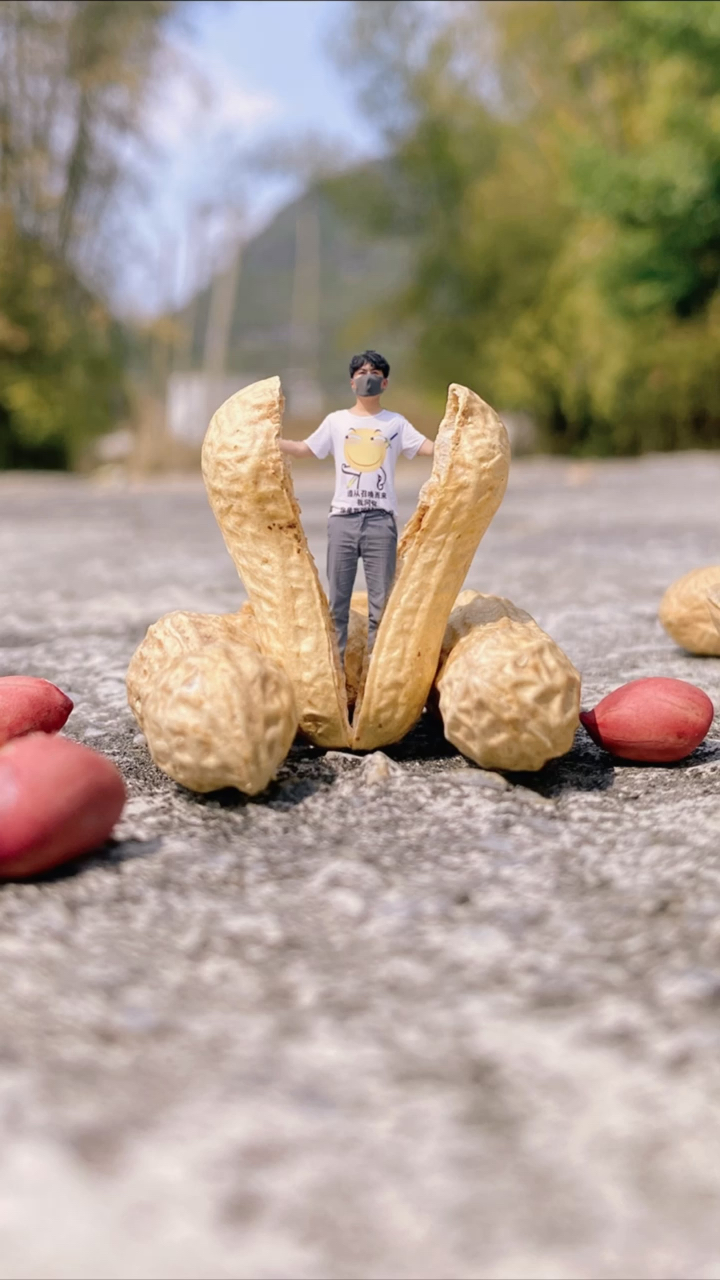 #手机摄影#花生这样拍创意片