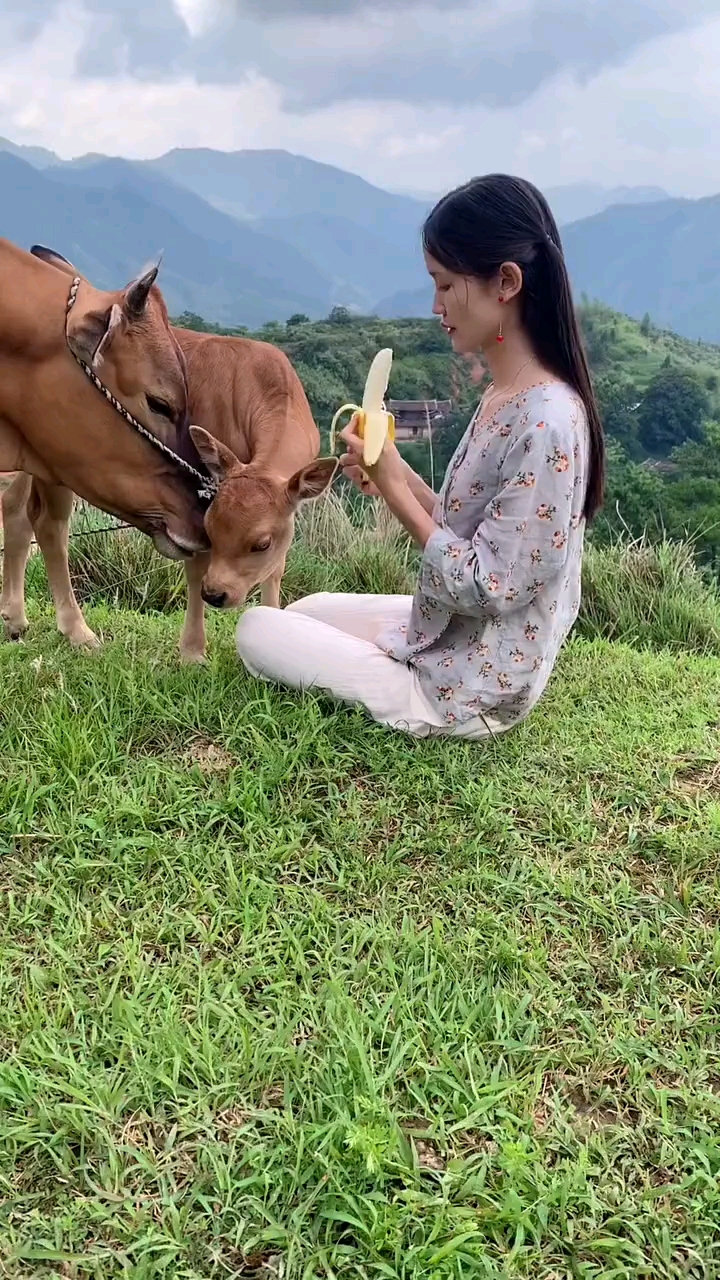 我这样的女人只会养鸡种菜放牛平凡农村人不知道在你们眼里是什么样的