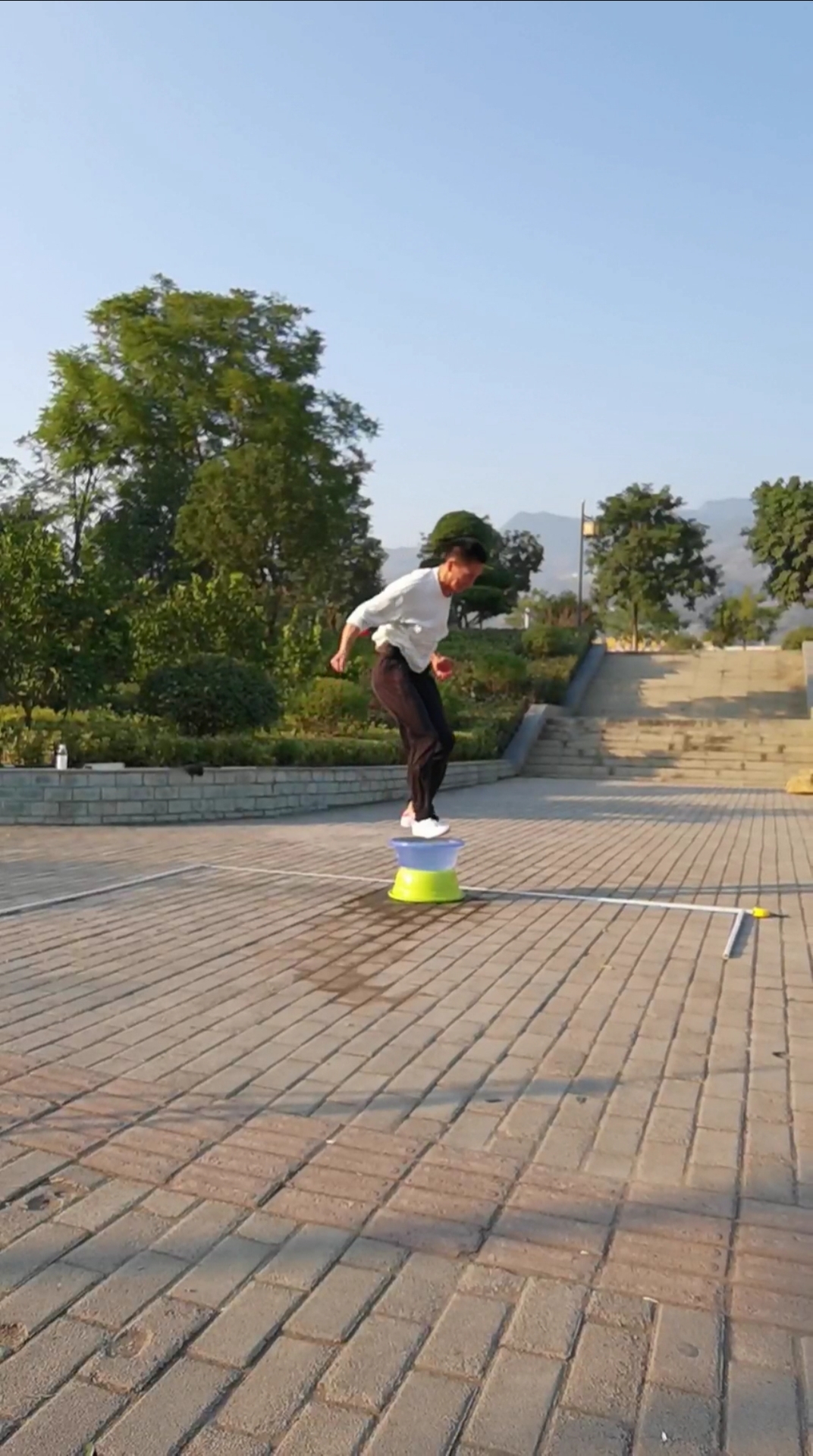 中华武术#蜻蜓点水三米远还有谁