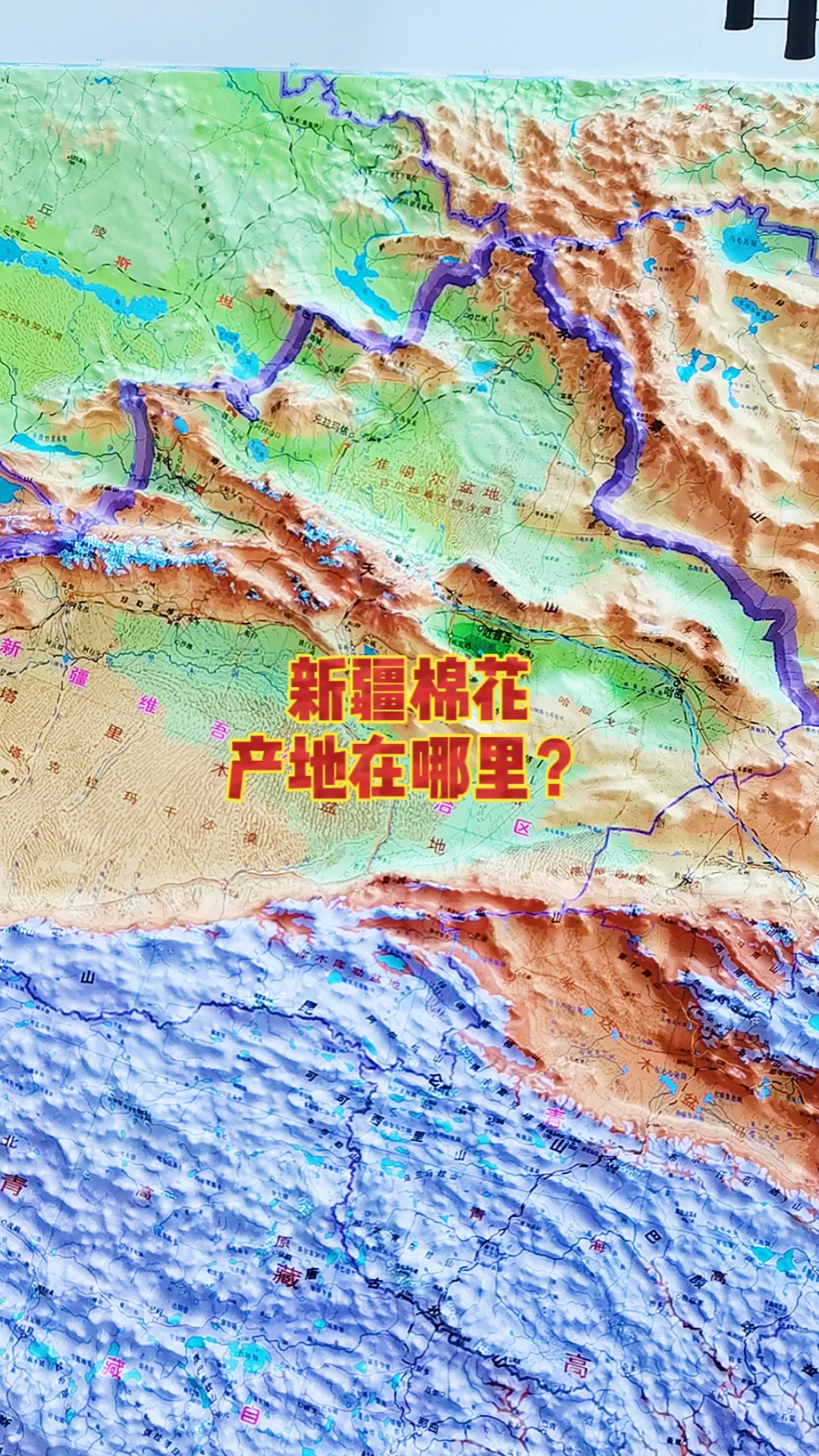 新疆棉花产地在哪里?#新疆棉花#我要上热门