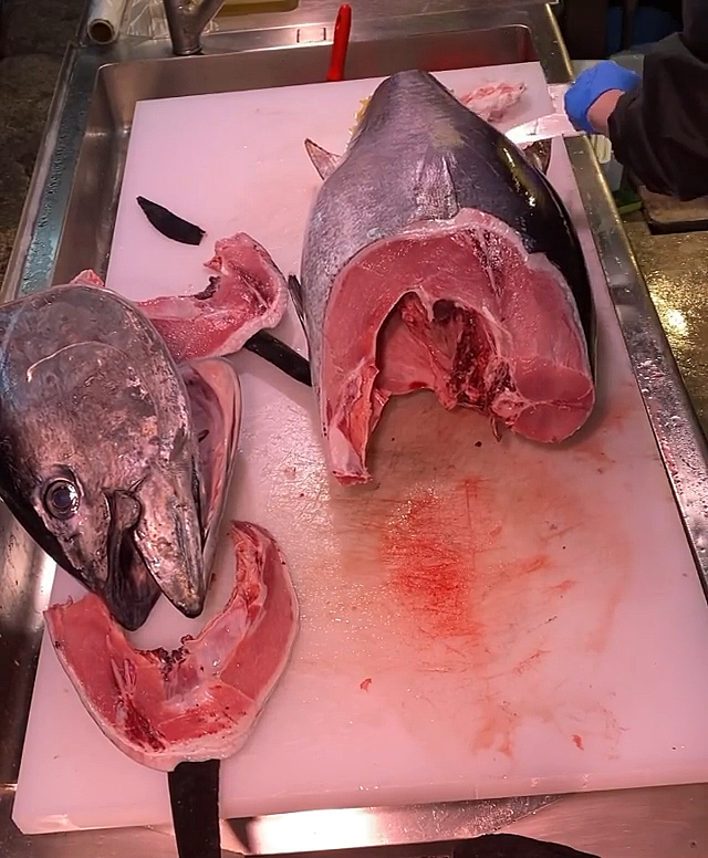 整条金枪鱼分割,大家觉得厨师手法如何!
